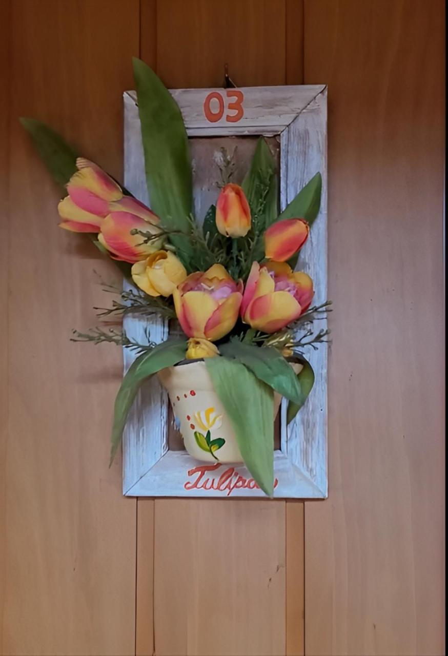 Hotel Pousada Chale Das Flores Sertãozinho エクステリア 写真